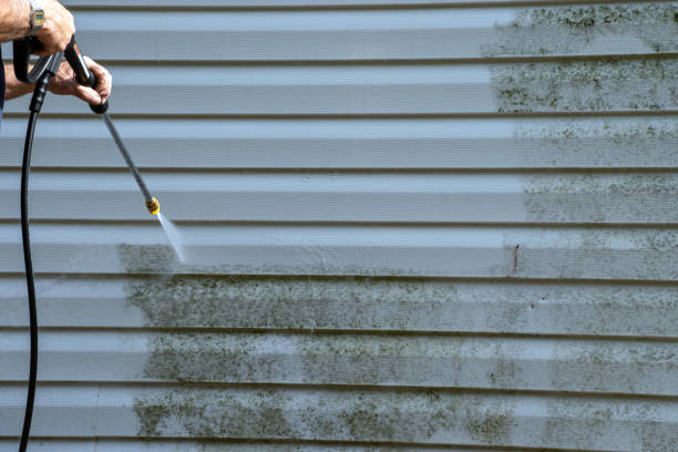 Trusted Chesapeake, VA Siding Experts